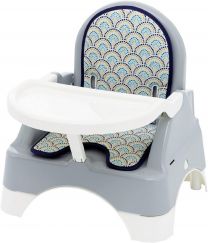 Thermobaby 3 in 1 Edgar Booster Chair, Feeding Chair with tray, Chair & Step Stool All in One!