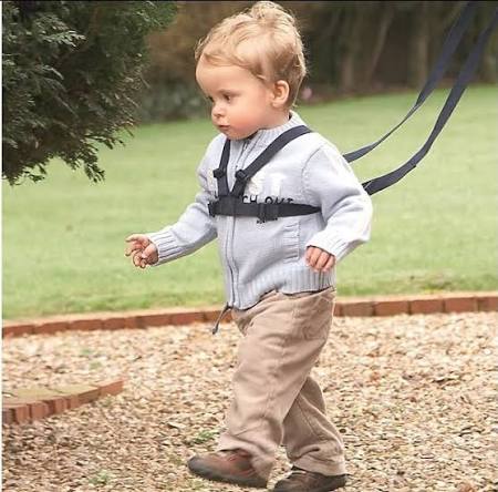 Clippasafe Easy Wash Harness and Reins in black